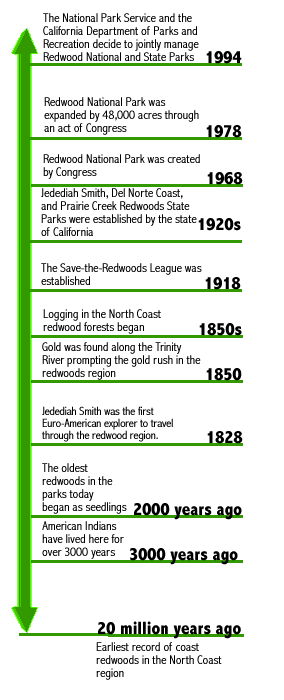 Area History Timeline