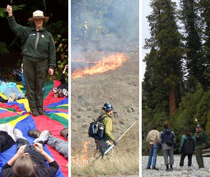 A few of the many National Park Service jobs available at Redwood National and State Parks.