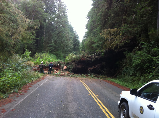 View of road block from the fall. Crews believe that the road has sustained some damage.