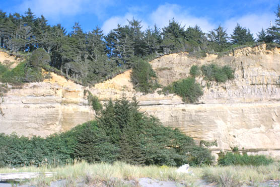 Gold Bluffs Beach