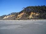 Gold Bluffs Beach