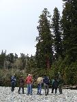 Ranger & Visitors at Tall Trees Grove