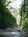 Hikers in Fern Canyon