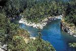 Smith River Forks