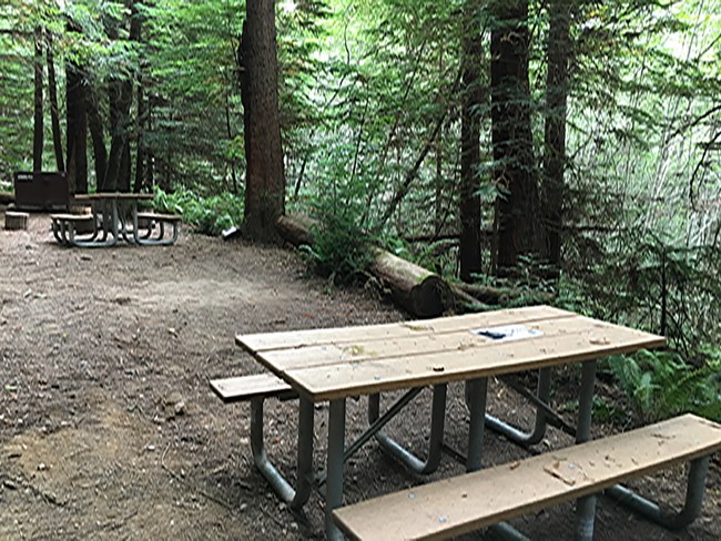 Picnic table and fire pit next to trees