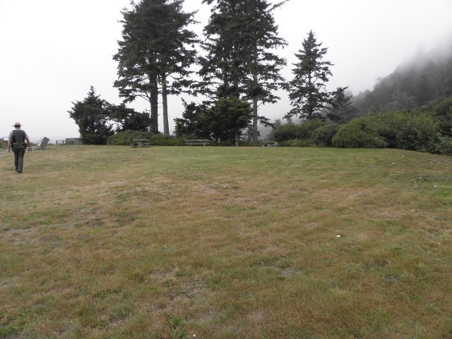 grassy area with table in the background