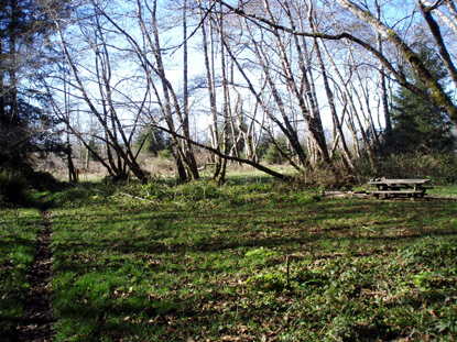 ossagon creek camp