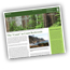 Redwood Visitor Guide