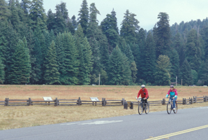 bicycling in Prairie Creek Redwoods State Park bicycling in Prairie Creek Redwoods State Park
