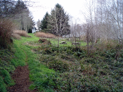 Coastal Trail, Flint Ridge