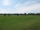 Modern photograph of Bolivar Heights