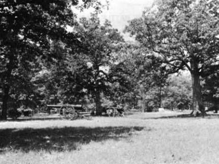 Early 20th century photo of cannon along Grant's last line at Shiloh