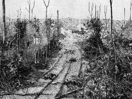 Sketch of the Hornet's Nest after the Battle of Shiloh
