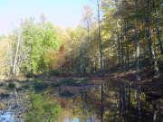 Western Run