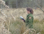 Water quality monitoring