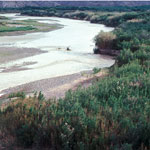 The Rio Grande above Boquillas Canyon