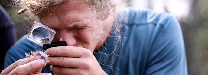 A Man looks at feather through magnifying glass A Man looks at feather through magnifying glass