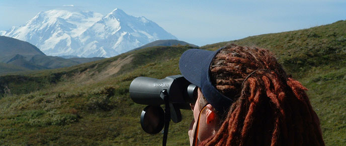 Researcher views Mount McKinley through binoculars Researcher views Mount McKinley through binoculars