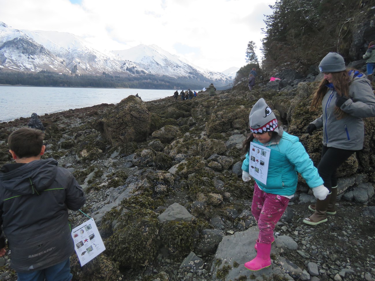 Students walk on a rocky coastline in Alaska.