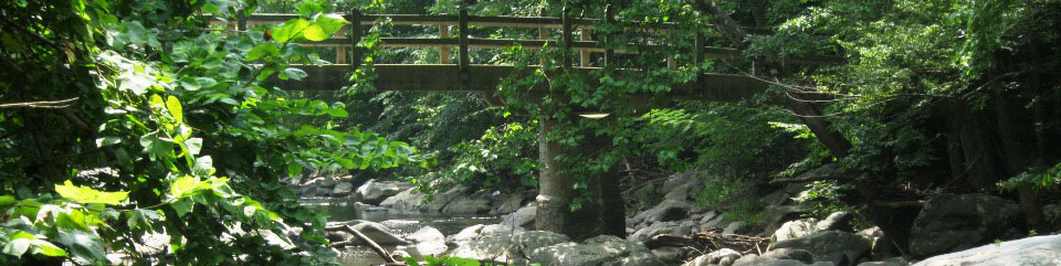 Running Trails Rock Creek Park Dc