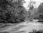 Road Ford