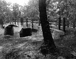 Foot Bridge