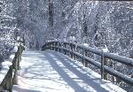 Rapids Bridge in Winter