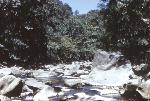 Rock Creek