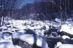 Rock Creek in Winter