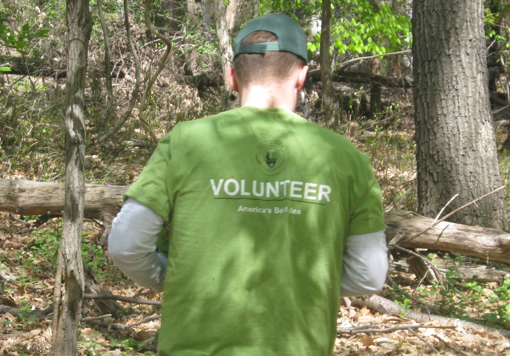 Volunteer in Rock Creek Park