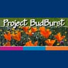Project BudBurst