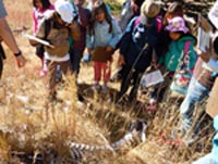 Students discover an elk skeleton in the field