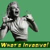 What's Invasive Website