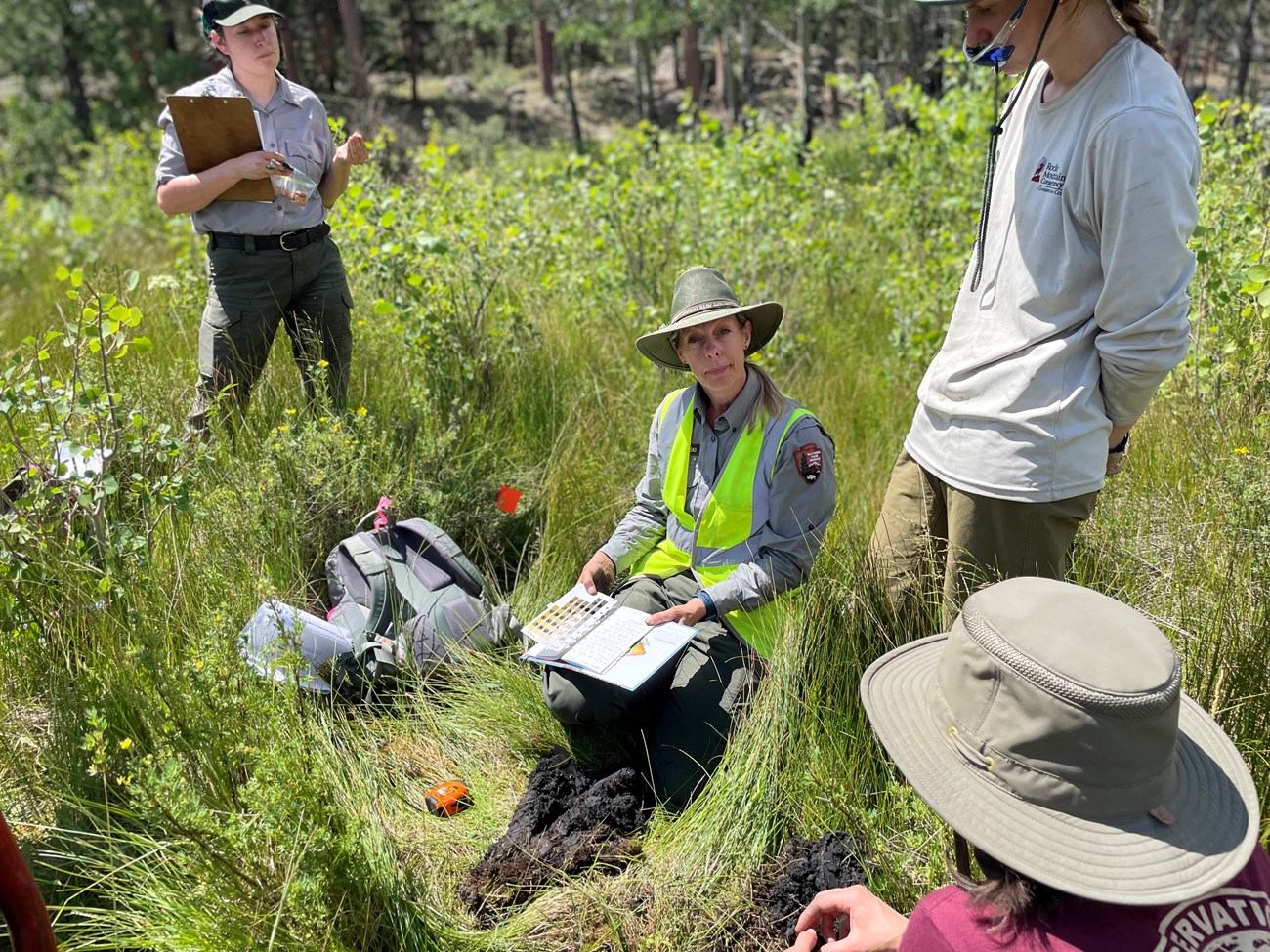 NPS employees are studying wetlands areas of RMNP