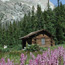 Thunder Lake Cabin with pink flowers in bloom