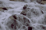 Fall River Area, Roaring River Alluvial Fan