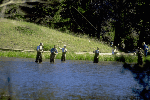 a photo of fishing at Lily Lake