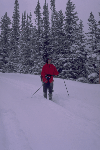 a photo of a snowshoer