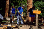 a photo of volunteers working on restoration