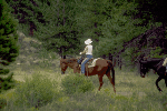 a photo of horseback riding