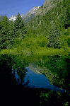 a photo of Fern Lake