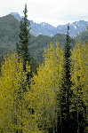 a photo of Longs Peak