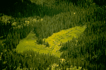 a photo of meadows below Mount Ida