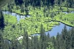 a photo of Colorado River District, Beaver Ponds