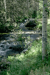 a photo of North Fork Area, Big Thompson River