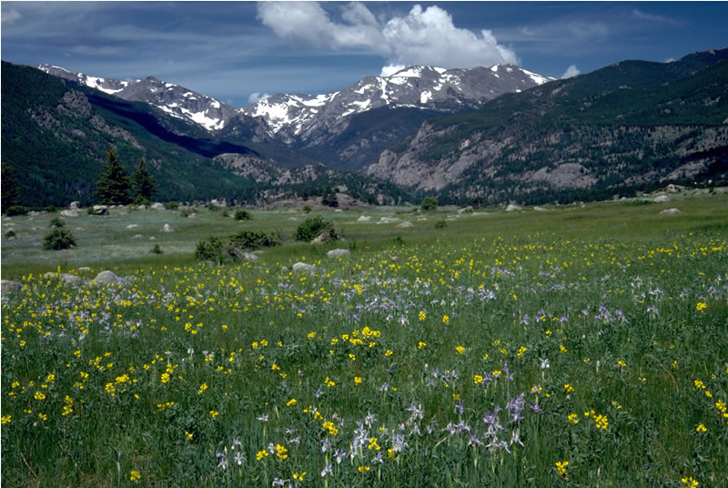 rocky weather report mountains