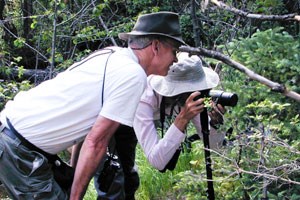 Lead Investigator Rich Bray and Volunteer Eric Raun look for butterflies in 2001.