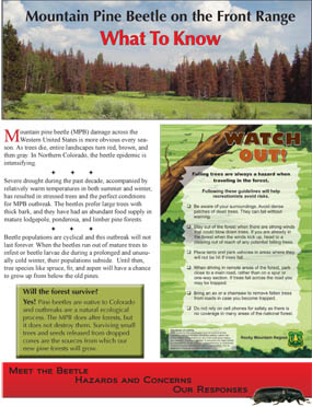 brochure mountain forest health beetle pine nature national resources rocky park range four printable pdf version know