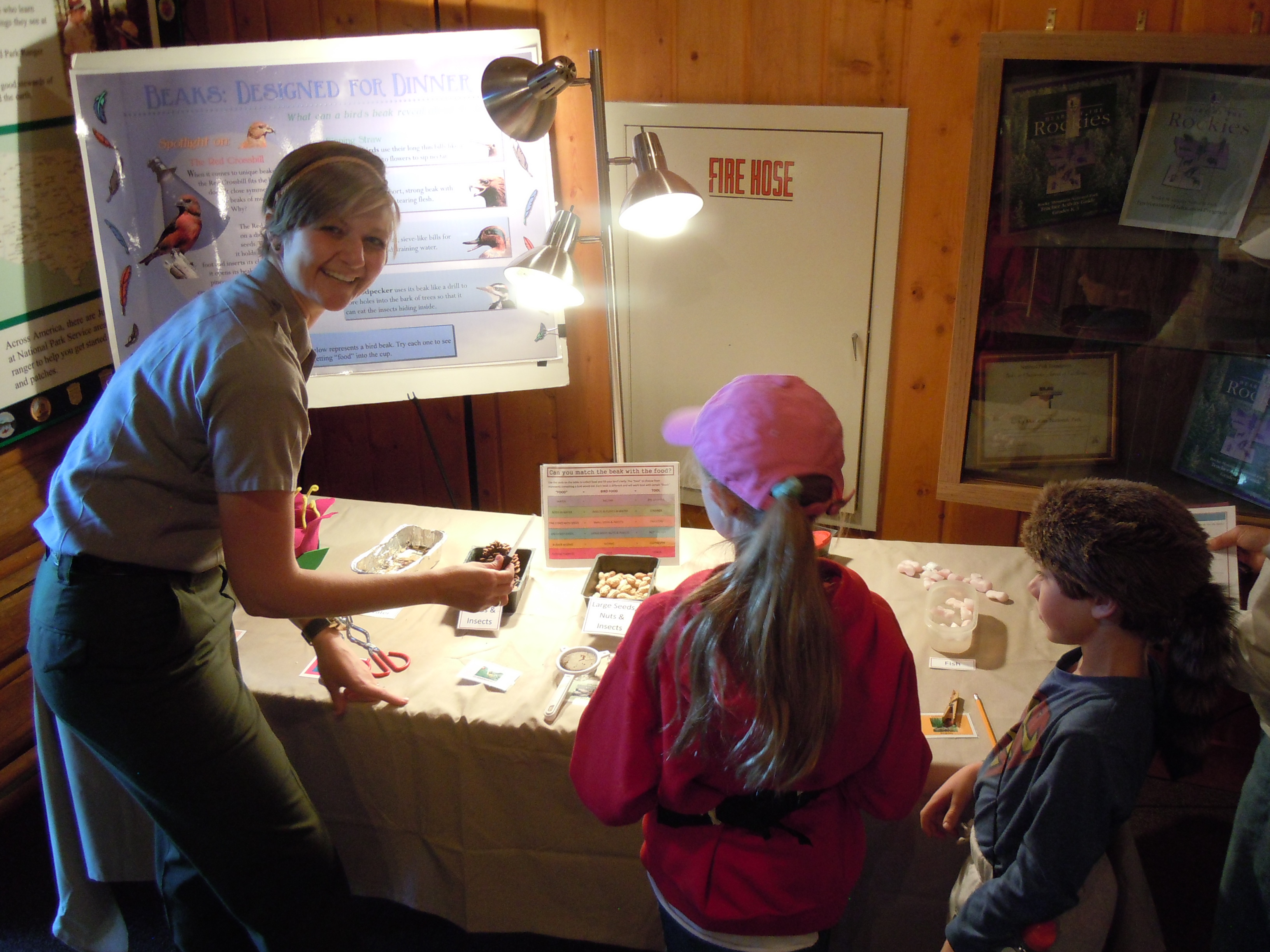 Discovery Day Activities at Rocky Mountain National Park