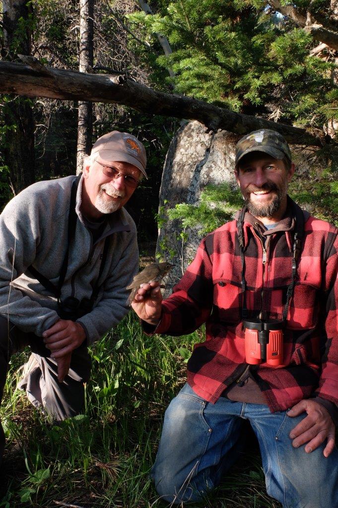 Jeff Connor (RMNP Volunteer) and Jason Beason (RMBO) with Swainson's thrush that had the geolocater 2014